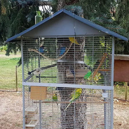 Le Clos De La Vigne 3* Montreuil (Pays de la Loire)