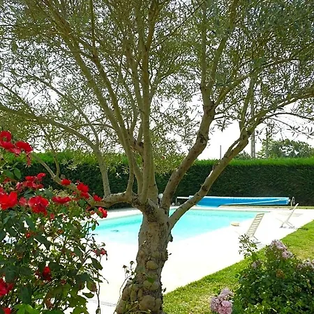 B&B Le Clos De La Vigne