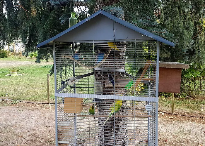 Le Clos De La Vigne 3* Montreuil (Pays de la Loire)